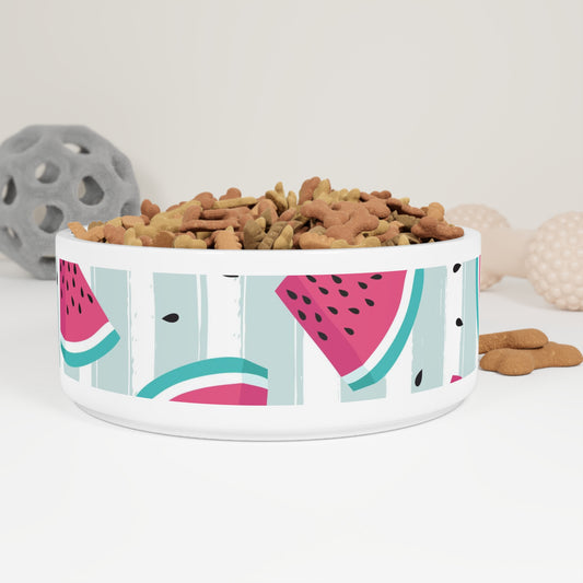 Gnar AF Watermelon Pet Bowl