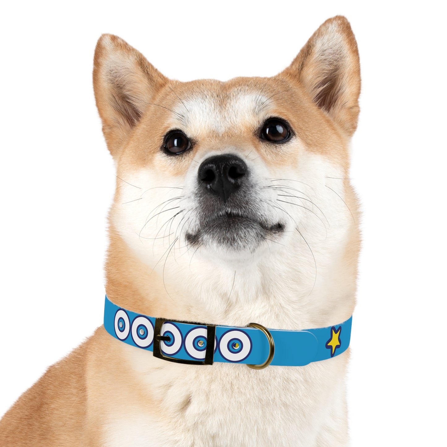 The Appreciators Companion Blue Dog Collar