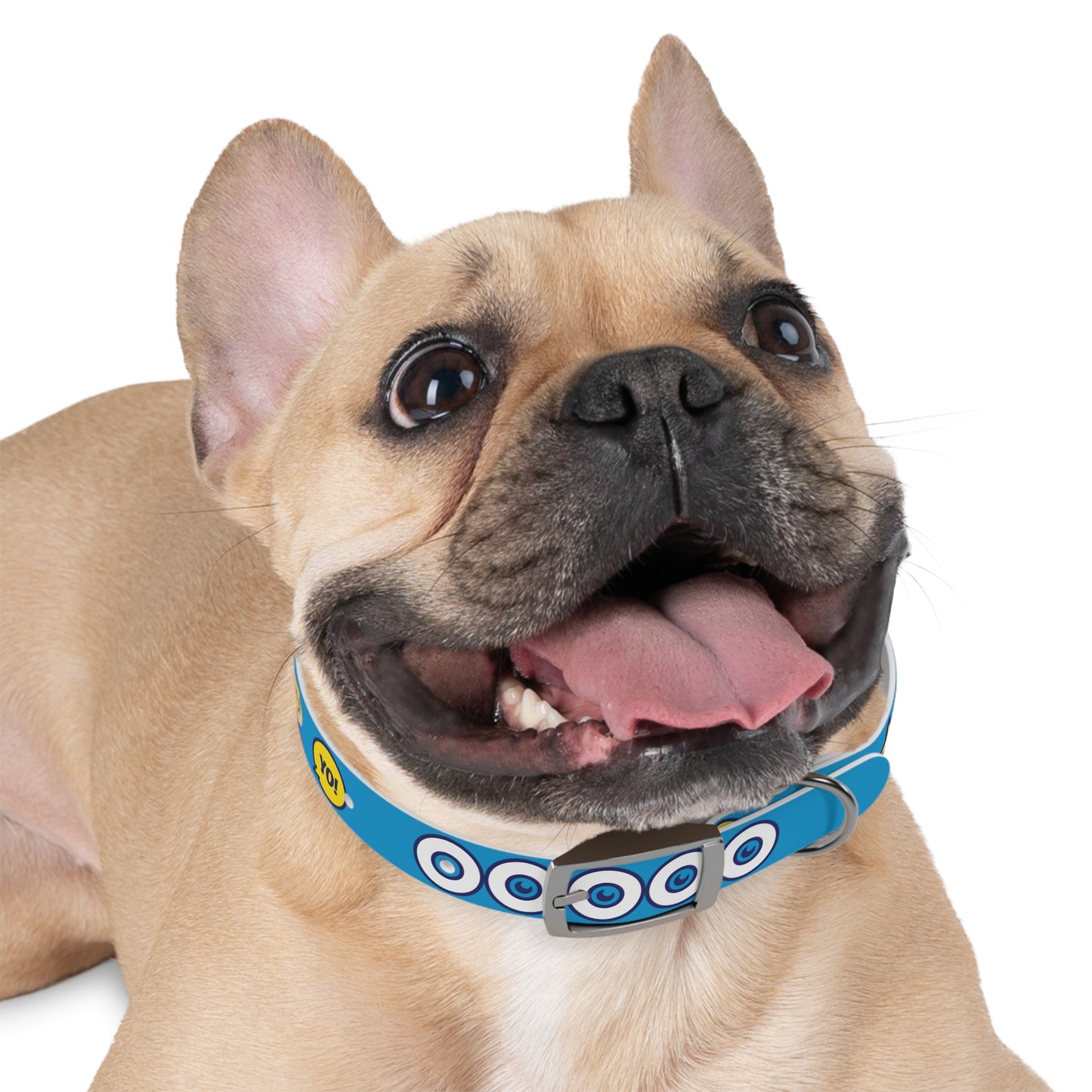 The Appreciators Companion Blue Dog Collar