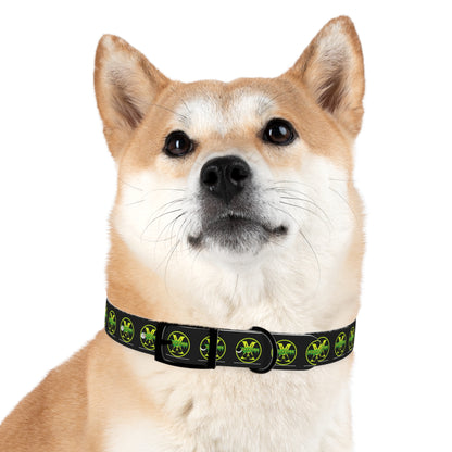 WolfpunX Dog Collar