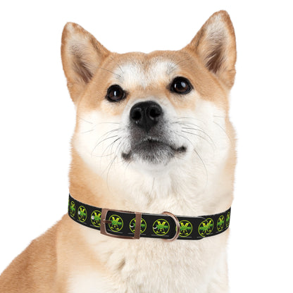 WolfpunX Dog Collar