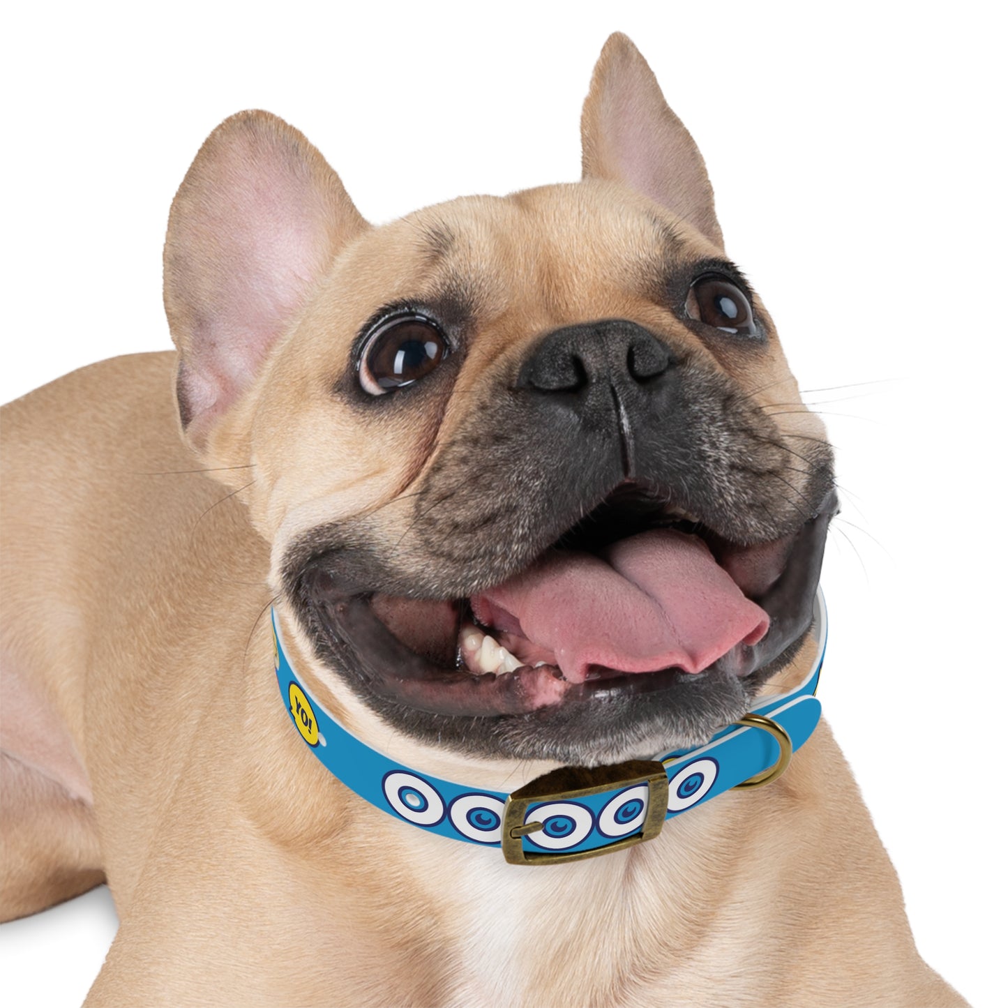 The Appreciators Companion Blue Dog Collar